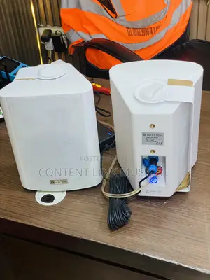 Outdoor Bluetooth Hanging Speakers