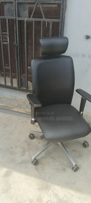 Ergonomic Chair Pure Leather