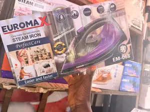 Euromax Steam Iron