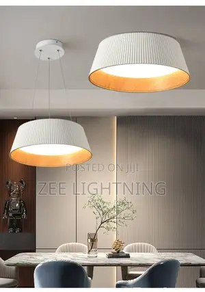 Ceiling Flush and Drop Pendant Light