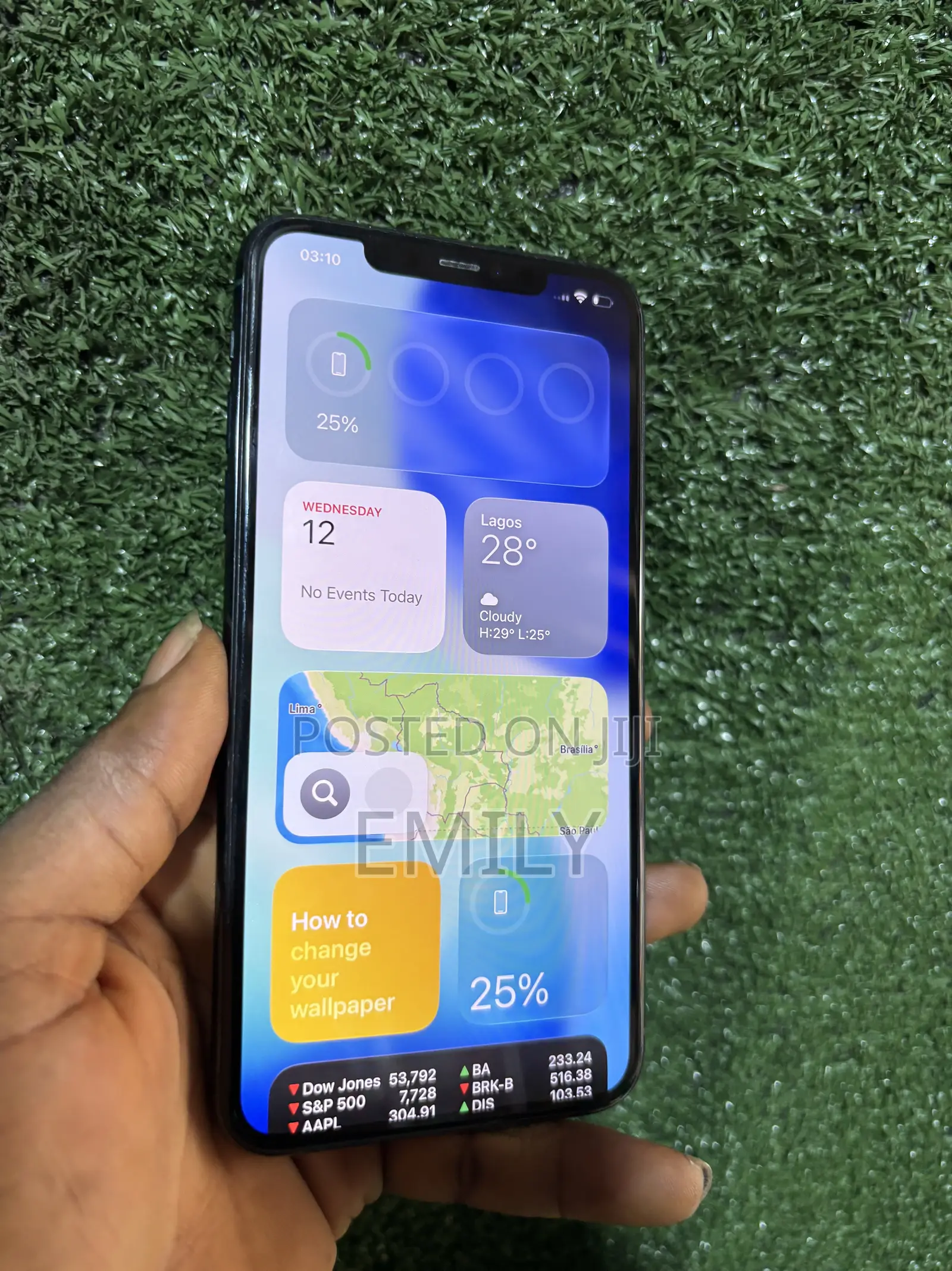 Apple iPhone 11 Pro Max 256 GB Blue