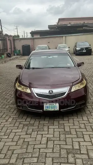 Acura TL 2009 Maroon