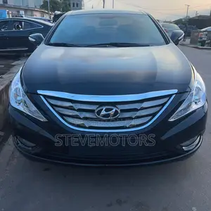 Hyundai Sonata 2009 Black