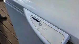 Liebherr Deep Freezer 312l