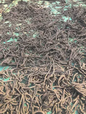 Local Sinking Pellets