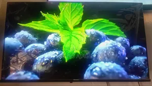 Hisense Smart TV