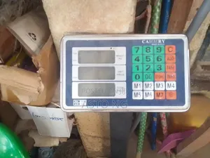 300kg Digital Platform Weighing Scale With Digital Display