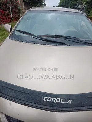 Toyota Corolla 2010 Gold