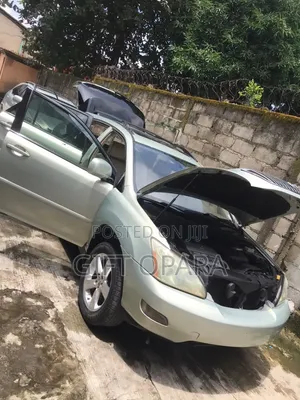 Lexus RX 2009 Silver