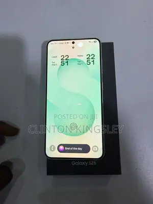 Samsung Galaxy S25 256 GB Green