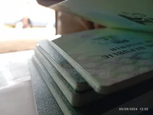 Passport Processing