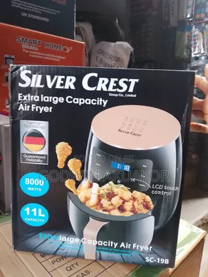 Silver Crest Air Flyer