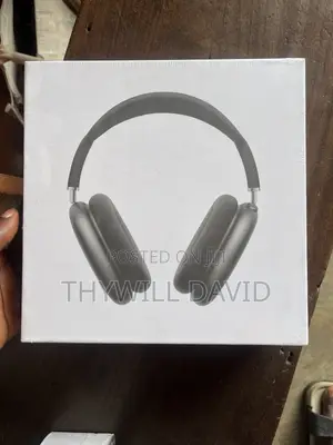 Apple Headphones