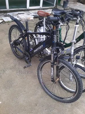 Electric Bike