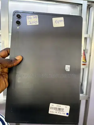 Samsung Galaxy Tab S9+ 256 GB Gray
