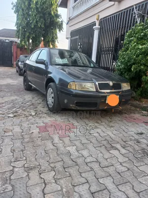 Skoda Octavia 2009 Gray
