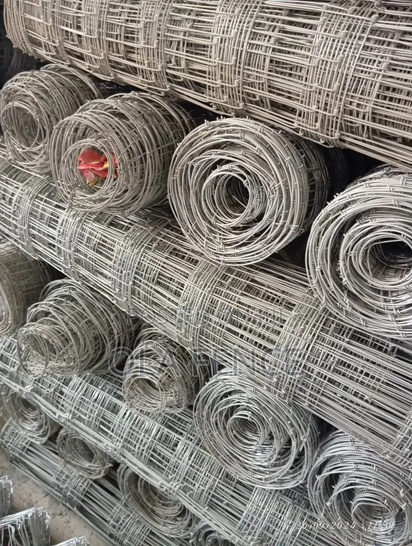 BRC Wire 4mm by 20 Meter