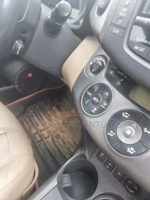 Toyota RAV4 2010 Gray