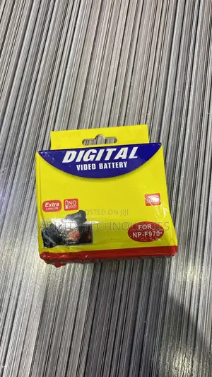 Digital Video Battery