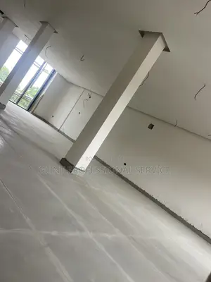 Ceiling and Wall Screeding and Painting