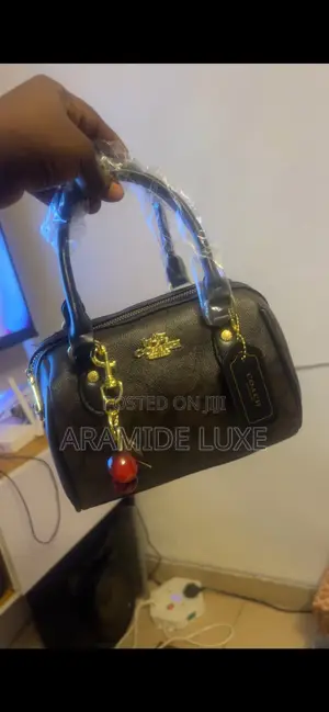 Chic Classy Handbag