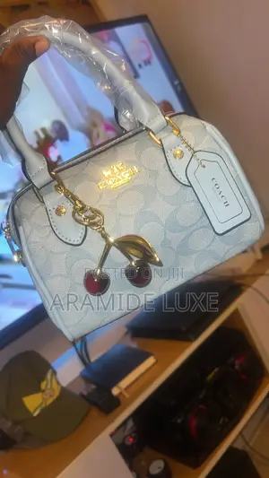 Chic Classy Handbag