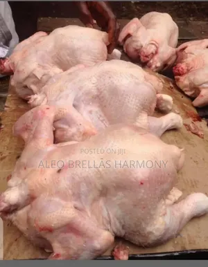 Full Chicken