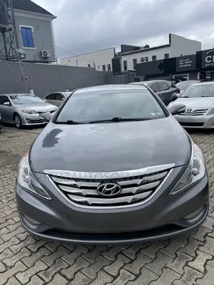 Hyundai Sonata 2013 Brown