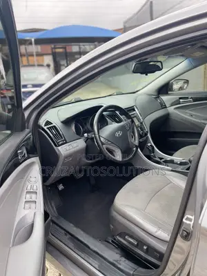 Hyundai Sonata 2013 Brown