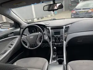 Hyundai Sonata 2013 Brown