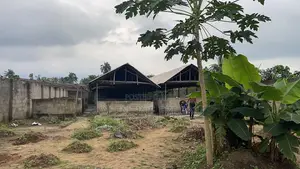 Pig Farm on 2Plots of Land