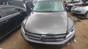 Volkswagen Tiguan 2015 Gray
