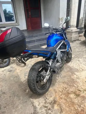 Kawasaki 2009 Blue