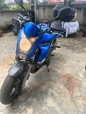 Kawasaki 2009 Blue