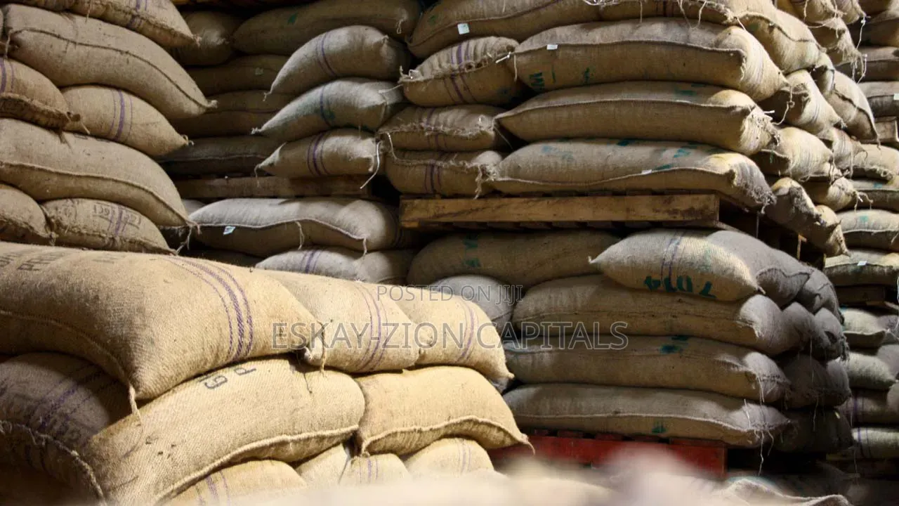 Cocoa Beans