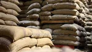 Cocoa Beans
