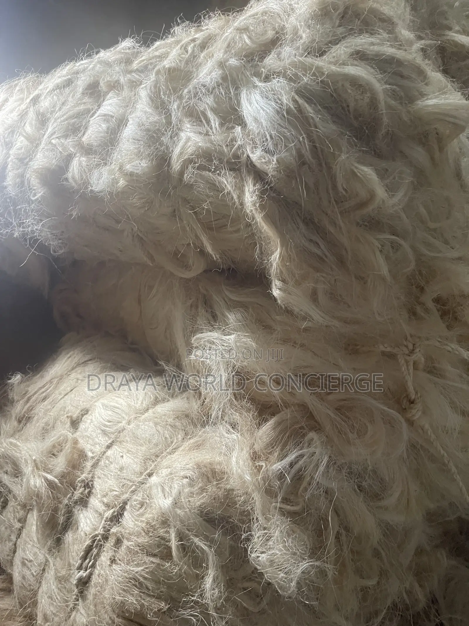 POP Fillers (Sisal Sponge)