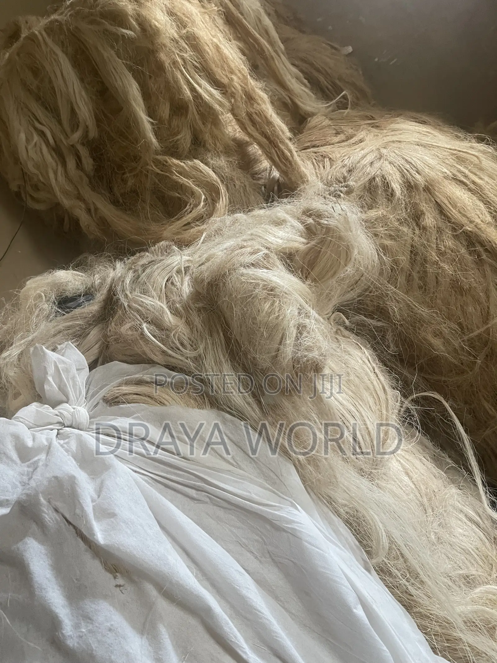 POP Fillers (Sisal Sponge)