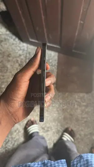 Apple iPhone 16 Pro Max 256 GB