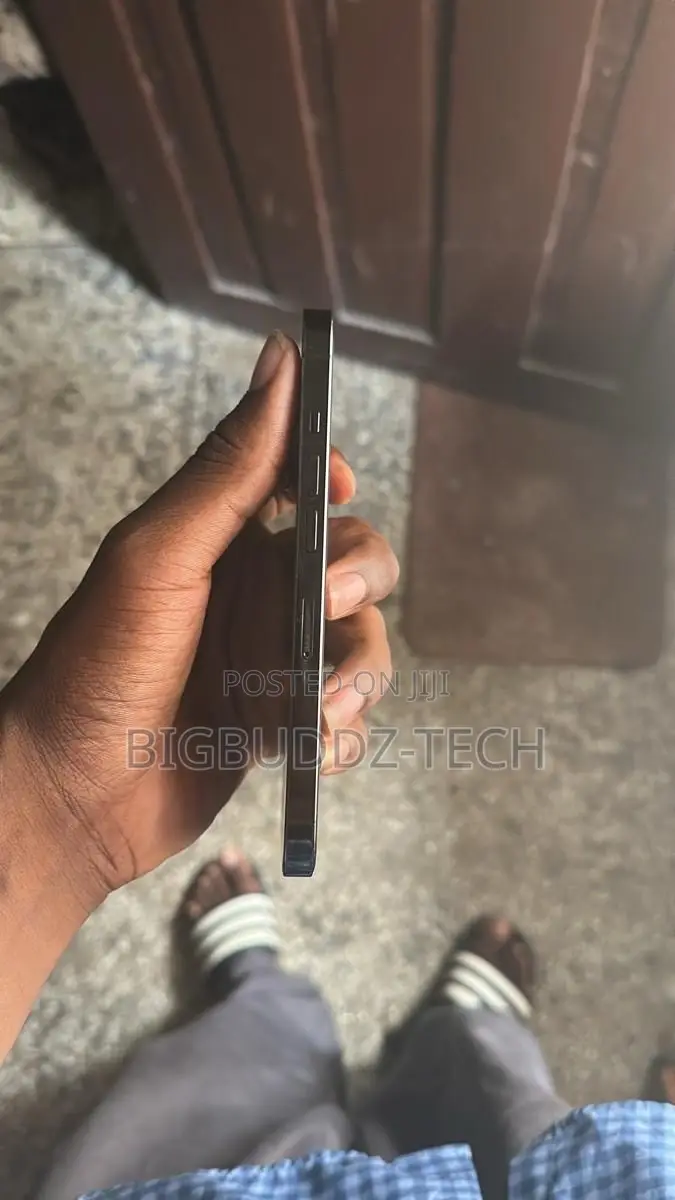 Apple iPhone 16 Pro Max 256 GB