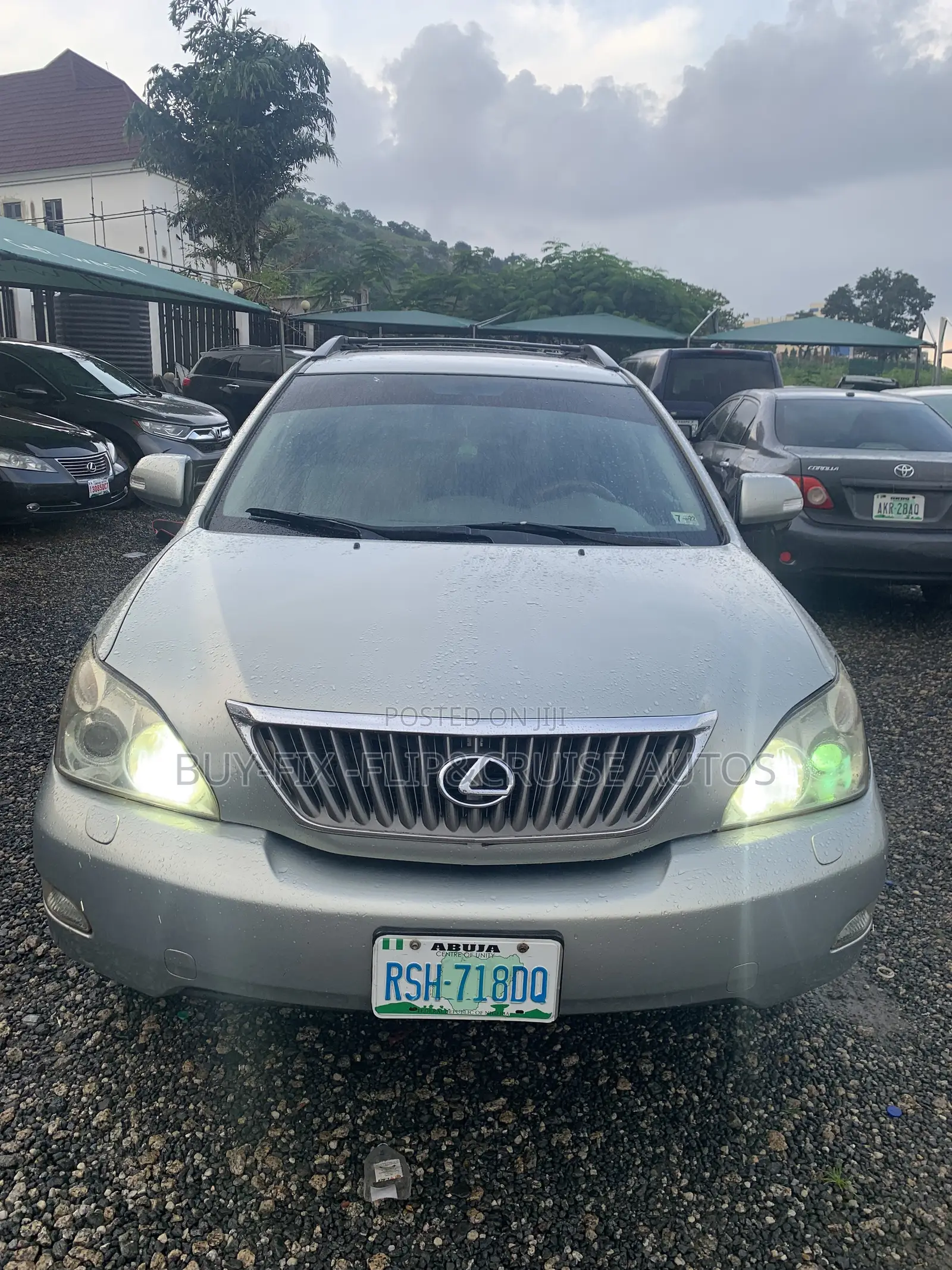 Lexus RX 2009 Gray
