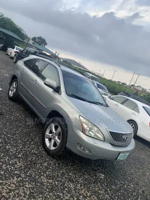 Lexus RX 2009 Gray