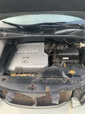 Lexus RX 2009 Gray