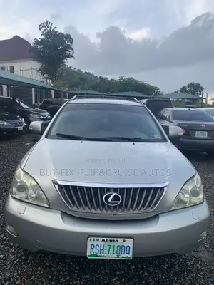 Lexus RX 2009 Gray