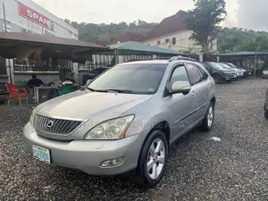 Lexus RX 2009 Gray