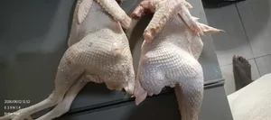 Dressed Frozen Chicken- Full or KG