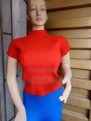 Ladies Two Piece Set (Pink Net Top and Leggings)