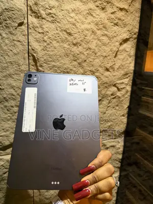Apple iPad Pro 11 (2024) 256 GB Gray