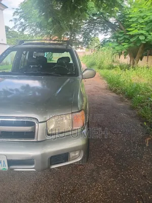 Nissan Pathfinder LE Platinum 4x4 2004 Silver