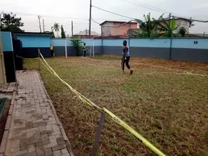 Planter/Landscape Services